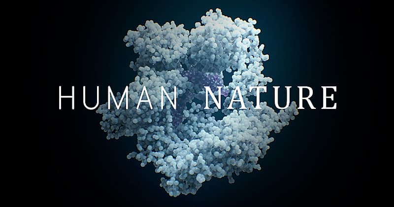 Foto: Human Nature