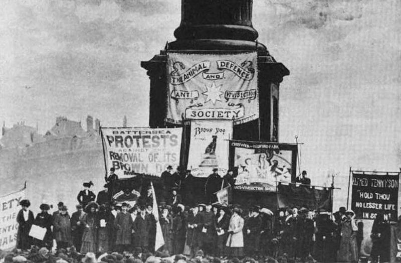England har en stærk tradition for modstand mod vivisektion. Demonstration på Trafalgar Square, London 1910.