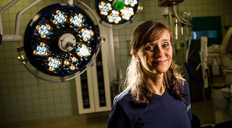 Professor Tine Engberg Damsgaard. Foto: Jesper Balleby