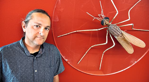 Efter år som malariaforsker førte Ali Salantis nysgerrighed til, at han nu regner med at skulle forske i kræft resten af karrieren. Foto: Nils Meilvang