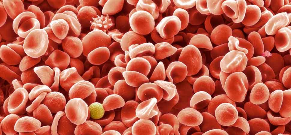 Science Photo Library.