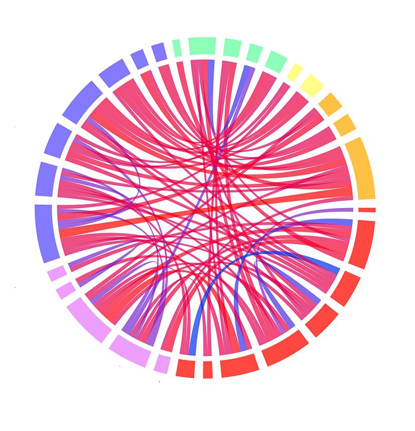 Forandringer i funktionel konnektivitet 36 hjerneregioner imellem. Røde streger viser positiv sammenhæng mellem plasma-psilocinkoncentration og funktionel konnektivitet, og blå streger viser negativ sammenhæng mellem plasma-psilocinkoncentration og funktionel konnektivitet. Firkanter på randen af cirklen repræsenterer hver en hjerneregion, og farven angiver et netværk. Det ses, at nedsat konnektivitet forekommer inden for netværk, og at øget konnektivitet forekommer netværk imellem. 