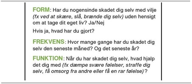 Uddrag af screeningskort for selvskade