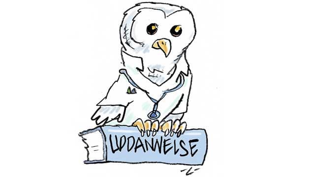 Illustration: Lars-Ole Nejstgaard