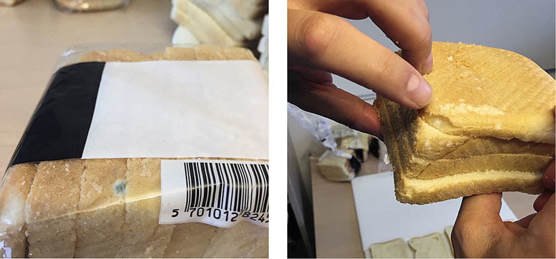 Billede 1: Udvikling af mug over tid. Billede 2: Vurdering af tørhed.