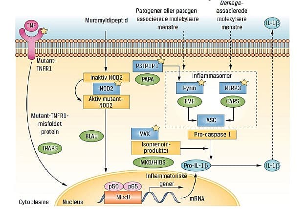 © Ugeskrift for Læger
