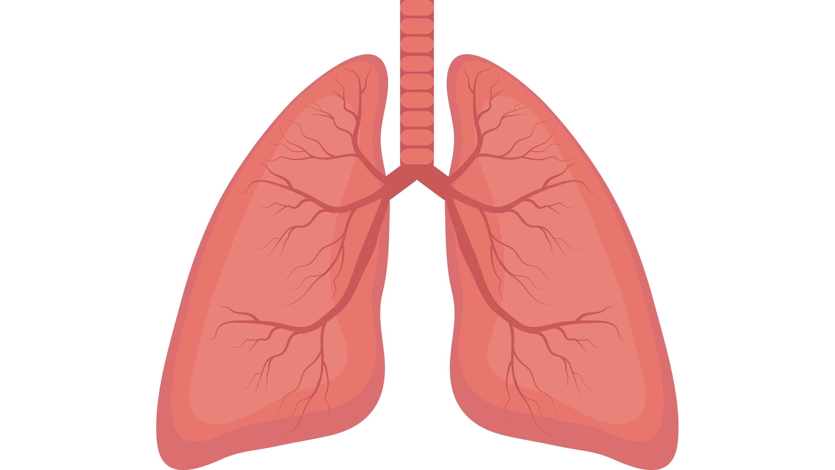 Illustration: Colourbox