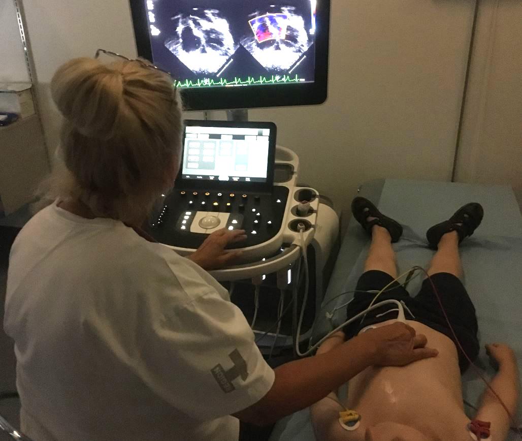Echocardiogram performed by one of the study authors. The child’s mother approved the use of the photograph in the article.