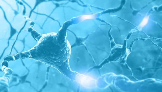 Illustration: Colourbox