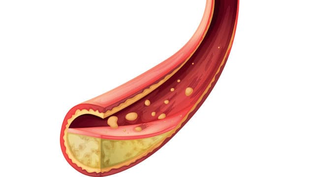 Illustration: Colourbox