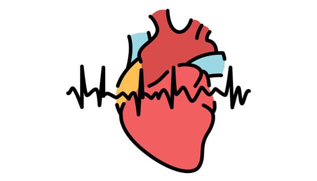 Illustration: Colourbox