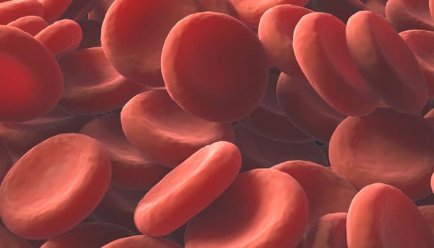 Illustration: Colourbox