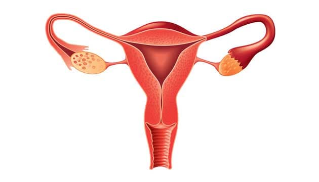 Illustration: Colourbox