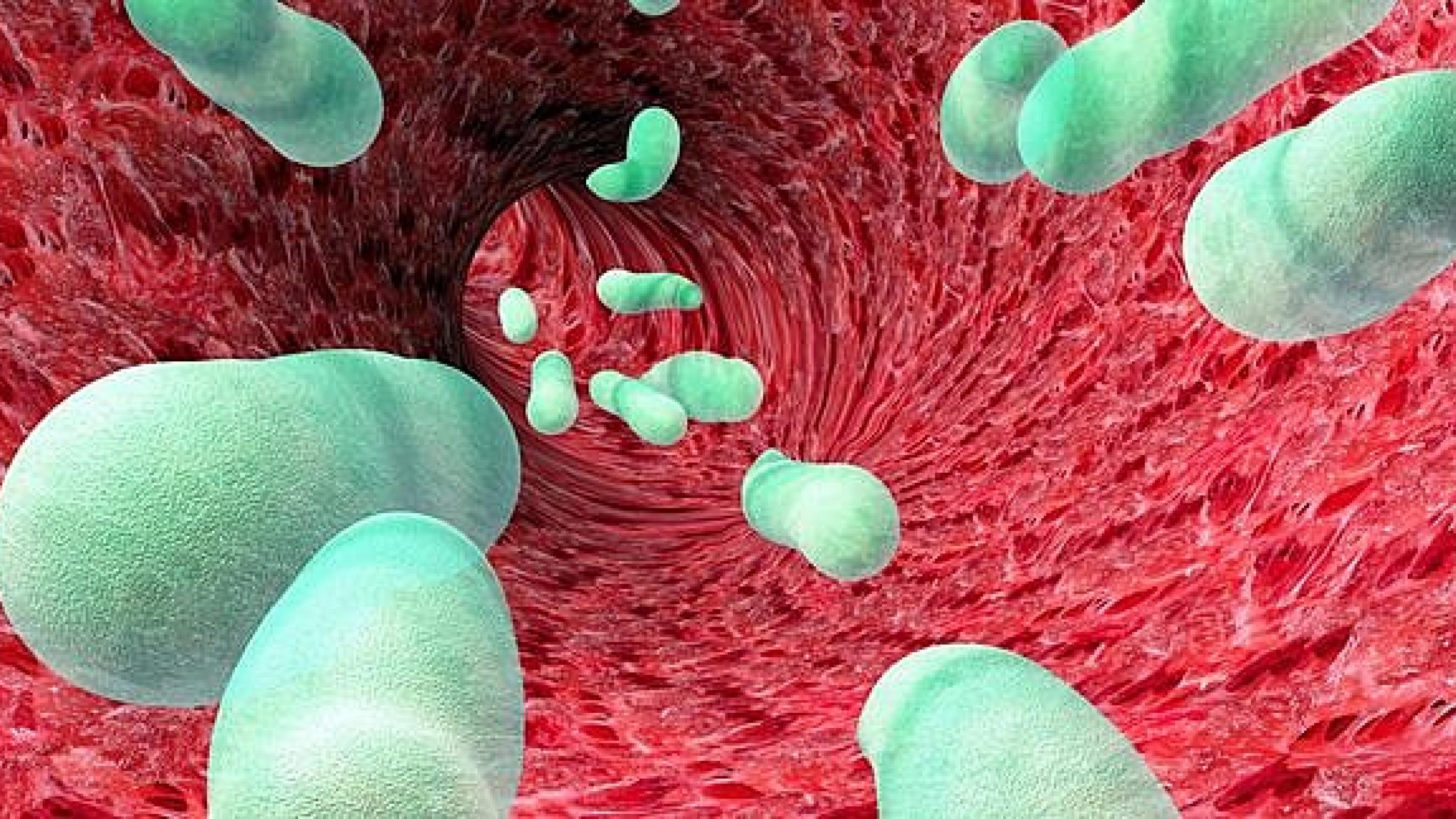 milits indsats Effektiv HPV giver voldsom stigning i mundsvælgkræft hos mænd | Ugeskriftet.dk