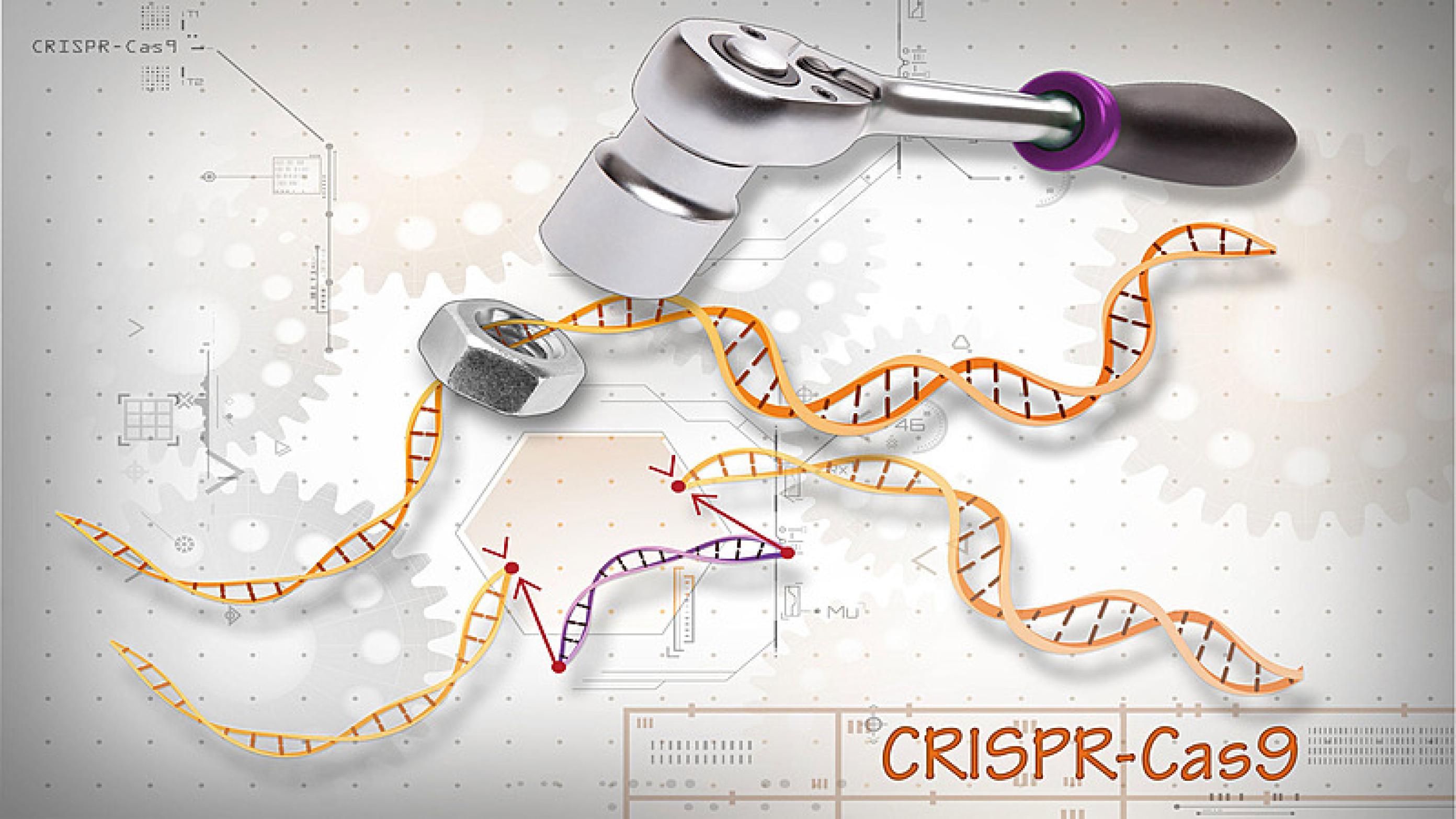 Illustration: Ernesto del Aguila III, National Human Genome Research Institute, National Institutes of Health