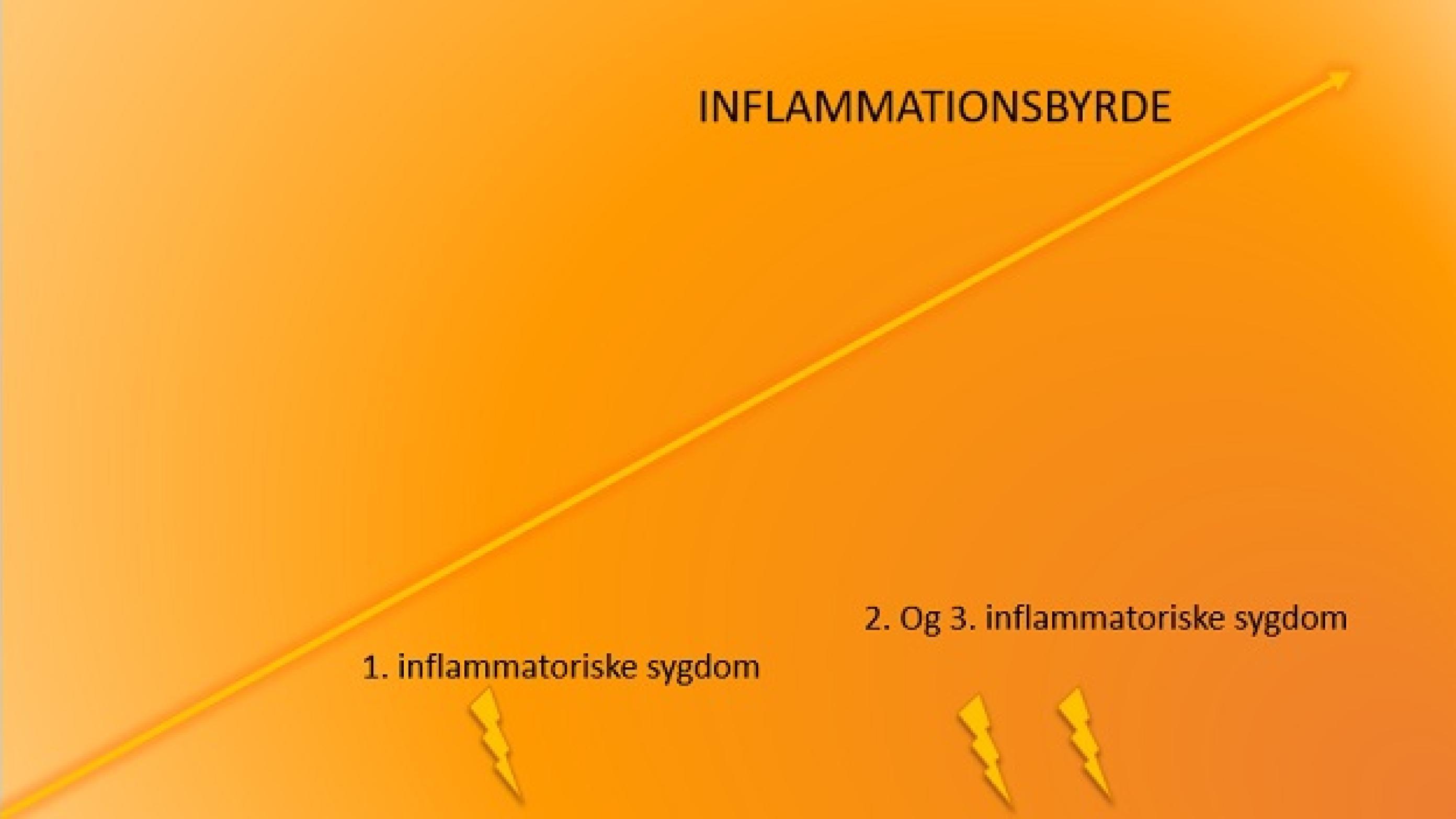En kontinuerlig tilstedeværelse af inflammation og deraf øgning af inflammationsbyrden øger muligvis risikoen for udvikling af flere inflammatoriske medierede sygdomme.