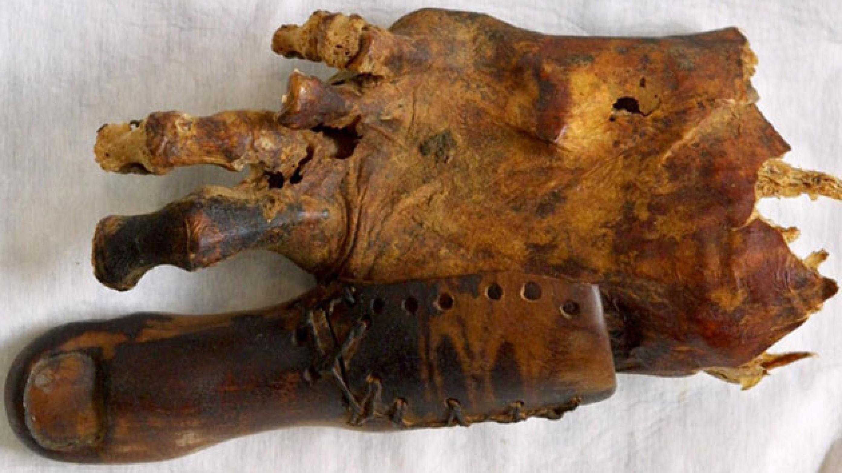 Den ældste protese, der kendes, er denne kunstige storetå på en mumie fra tiden før 600 fvt. En kopi er afprøvet på forsøgspersoner, der mangler storetåen, og den blev bedømt som ”yderst effektiv”. Foto: Reddit.