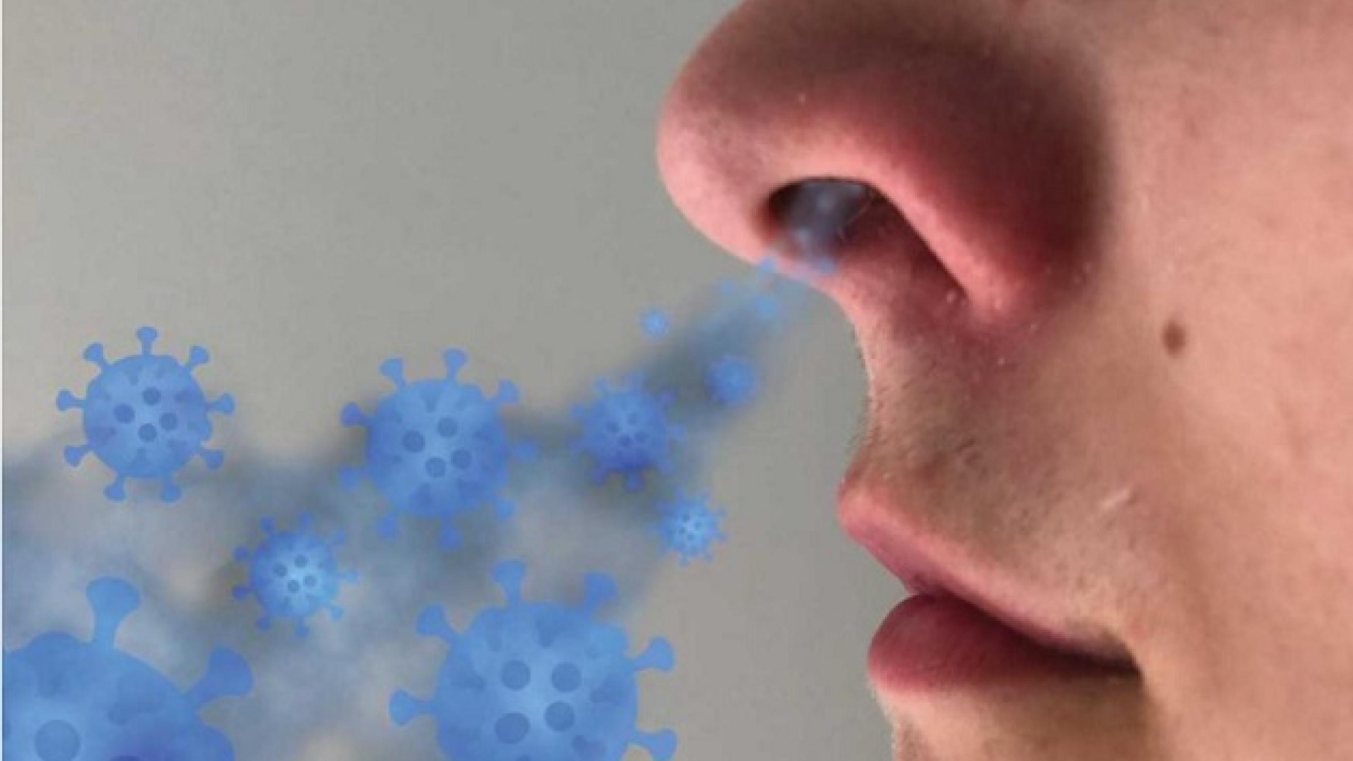 SARS-CoV-2-infektion via næsens epitel.