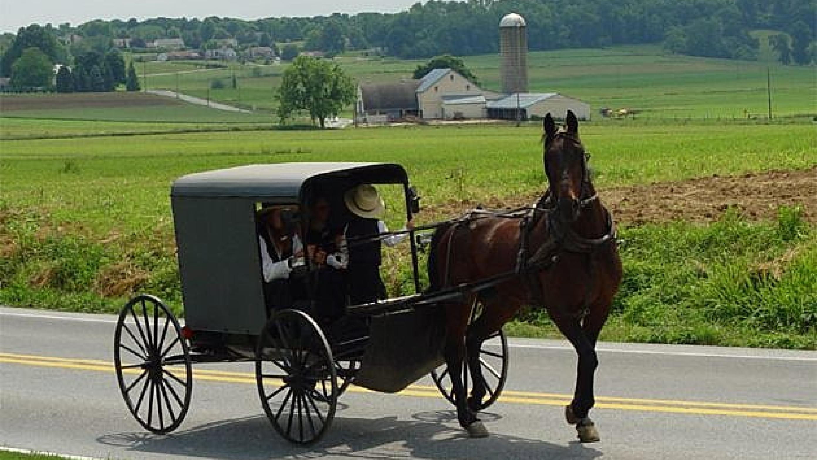 Amish-folket er en protestantisk kristen gruppe, der giver afkald på moderne teknologi. Foto: Wikipidia
